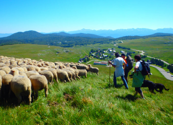 Communauté de communes du Val de Drôme