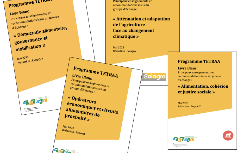 Les livres blancs des groupes thématiques inter-territoires sont en ligne !